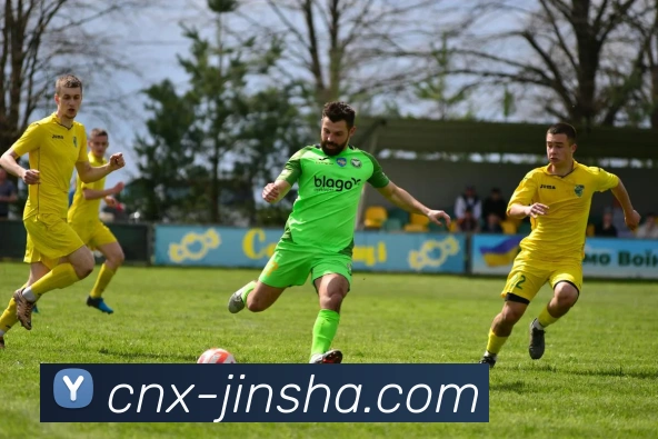 澳门金沙官网平台生态图